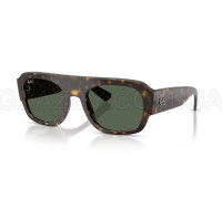 Солнцезащитные очки Ray-Ban RB 2218 679071