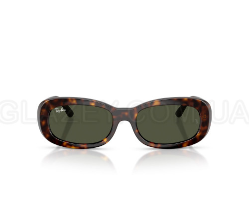 Сонцезахисні окуляри Ray-Ban RB 2221 902/31