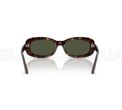 Сонцезахисні окуляри Ray-Ban RB 2221 902/31