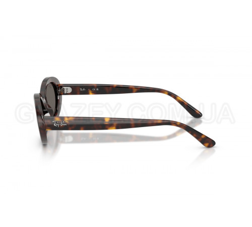 Сонцезахисні окуляри Ray-Ban RB 2223 902/B1