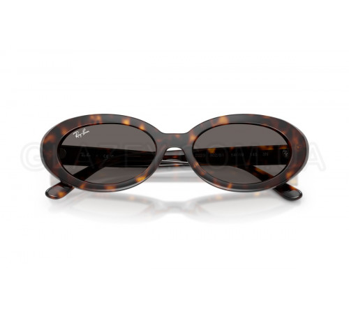 Сонцезахисні окуляри Ray-Ban RB 2223 902/B1