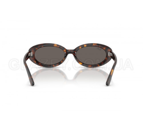 Сонцезахисні окуляри Ray-Ban RB 2223 902/B1