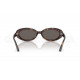 Сонцезахисні окуляри Ray-Ban RB 2223 902/B1