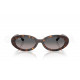 Сонцезахисні окуляри Ray-Ban RB 2223 902/M3