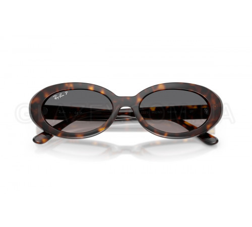Сонцезахисні окуляри Ray-Ban RB 2223 902/M3