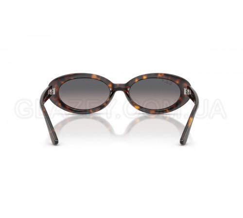 Сонцезахисні окуляри Ray-Ban RB 2223 902/M3