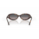 Сонцезахисні окуляри Ray-Ban RB 2223 902/M3