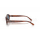 Сонцезахисні окуляри Ray-Ban RB 2223 954/56