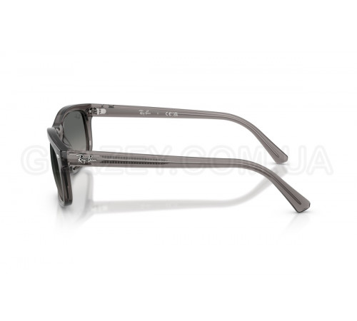 Сонцезахисні окуляри Ray-Ban RB 2224 667571
