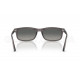 Сонцезахисні окуляри Ray-Ban RB 2224 667571