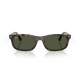 Сонцезахисні окуляри Ray-Ban RB 2224 710/31