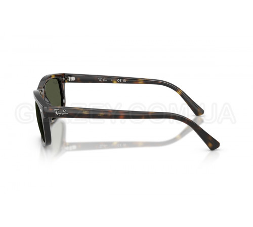 Сонцезахисні окуляри Ray-Ban RB 2224 710/31
