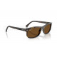 Сонцезахисні окуляри Ray-Ban RB 2224 710/57