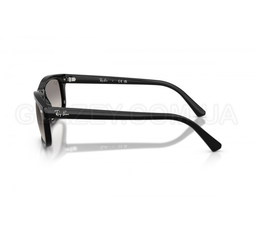 Сонцезахисні окуляри Ray-Ban RB 2224 901/32