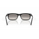 Сонцезахисні окуляри Ray-Ban RB 2224 901/32