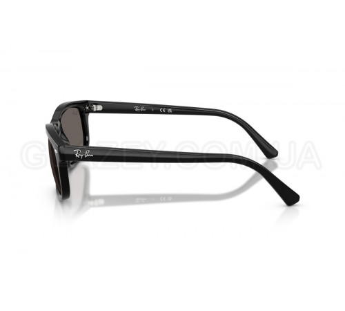 Сонцезахисні окуляри Ray-Ban RB 2224 901/B1