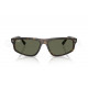 Сонцезахисні окуляри Ray-Ban RB 2225 710/58