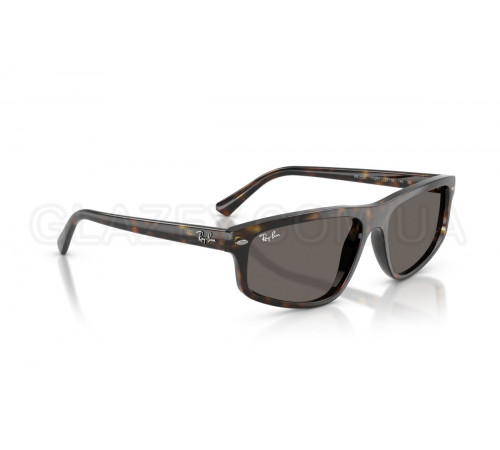 Сонцезахисні окуляри Ray-Ban RB 2225 710/B1