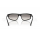 Сонцезахисні окуляри Ray-Ban RB 2225 901/32