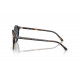 Солнцезащитные очки Ray-Ban RB 2230 1356R5