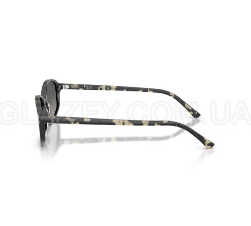 Солнцезащитные очки Ray-Ban RB 2232 133371