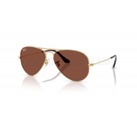 Солнцезащитные очки Ray-Ban RB 3025 001/C5