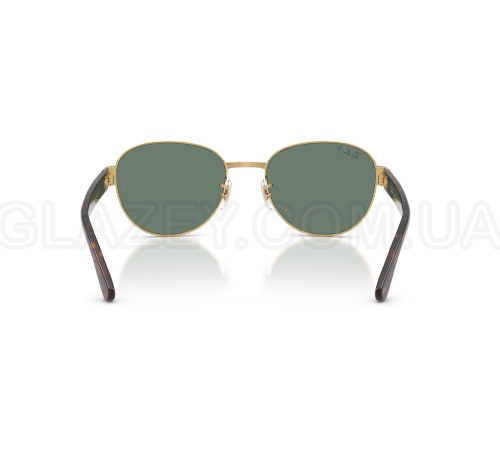 Сонцезахисні окуляри Ray-Ban RB 3766CH 001/O9