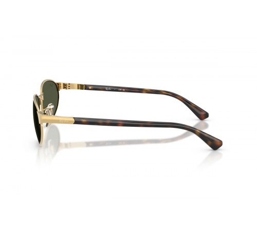 Сонцезахисні окуляри Ray-Ban RB 3777 001/31
