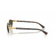 Сонцезахисні окуляри Ray-Ban RB 3777 001/31