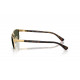 Сонцезахисні окуляри Ray-Ban RB 3778 001/31