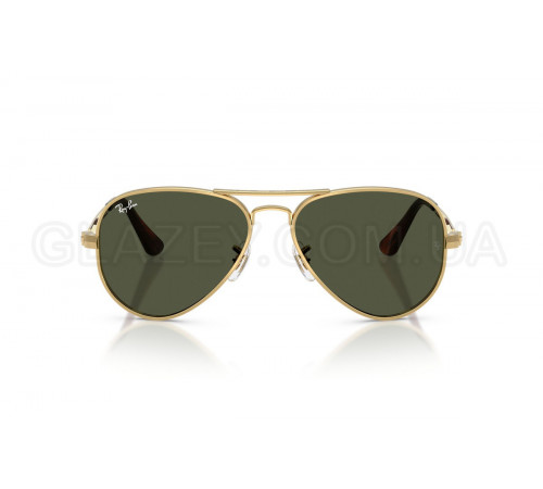 Солнцезащитные очки Ray-Ban RB 3925 001/31