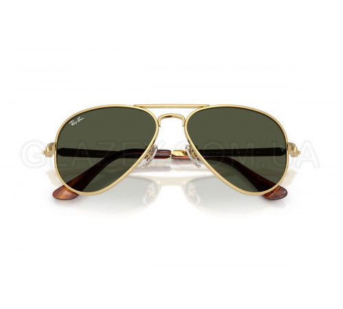 Солнцезащитные очки Ray-Ban RB 3925 001/31