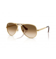 Солнцезащитные очки Ray-Ban RB 3925 001/51