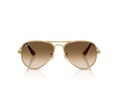 Солнцезащитные очки Ray-Ban RB 3925 001/51