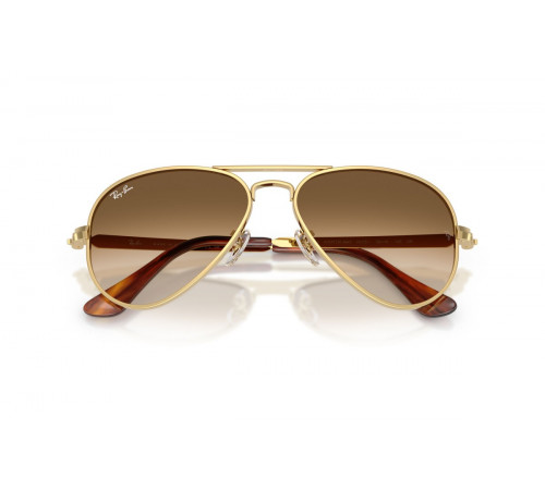 Солнцезащитные очки Ray-Ban RB 3925 001/51
