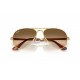 Солнцезащитные очки Ray-Ban RB 3925 001/51
