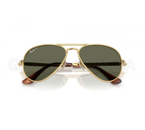 Сонцезахисні окуляри Ray-Ban RB 3925 001/58