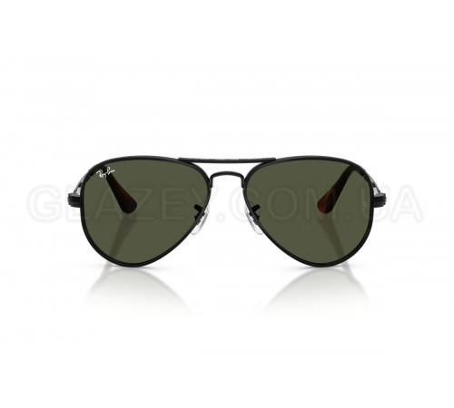 Солнцезащитные очки Ray-Ban RB 3925 002/31
