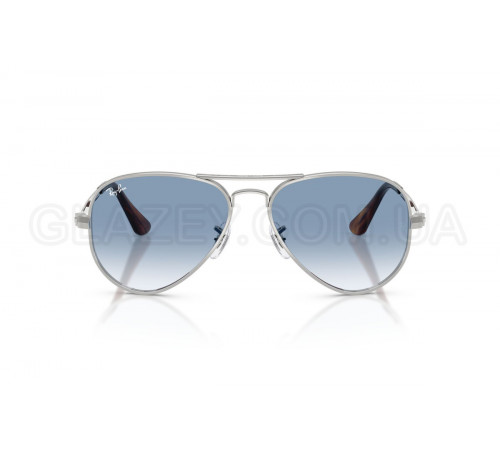 Солнцезащитные очки Ray-Ban RB 3925 003/3F