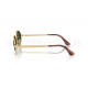 Солнцезащитные очки Ray-Ban RB 3931 001/31