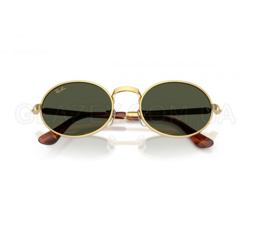 Солнцезащитные очки Ray-Ban RB 3931 001/31