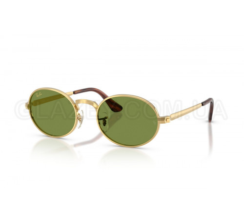 Солнцезащитные очки Ray-Ban RB 3931 001/4E