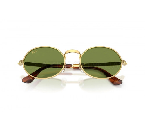 Солнцезащитные очки Ray-Ban RB 3931 001/4E