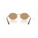 Солнцезащитные очки Ray-Ban RB 3931 001/53