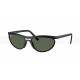 Солнцезащитные очки Ray-Ban RB 4453 601S71