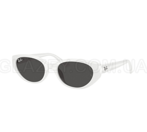 Солнцезащитные очки Ray-Ban RB 4457D 677287