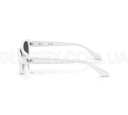 Солнцезащитные очки Ray-Ban RB 4457D 677287