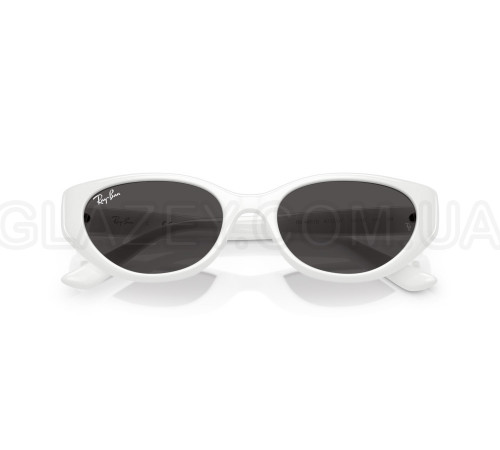 Солнцезащитные очки Ray-Ban RB 4457D 677287