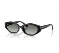 Солнцезащитные очки Ray-Ban RB 4473D 667711