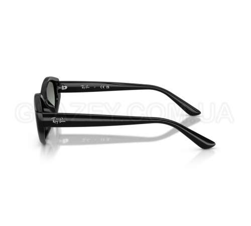 Сонцезахисні окуляри Ray-Ban RB 4473D 667711